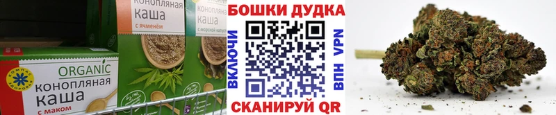 гидра зеркало  Княгинино  Cannafood конопля 