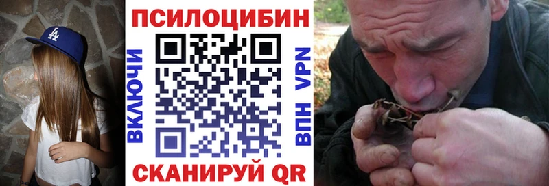 блэк спрут ссылка Княгинино Псилоцибиновые грибы Cubensis